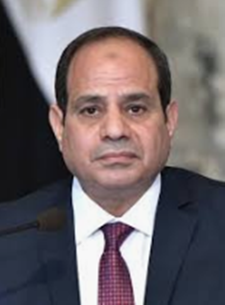 ElSisi Orders Oil & Gas Exploration Expansion Petroleum Africa